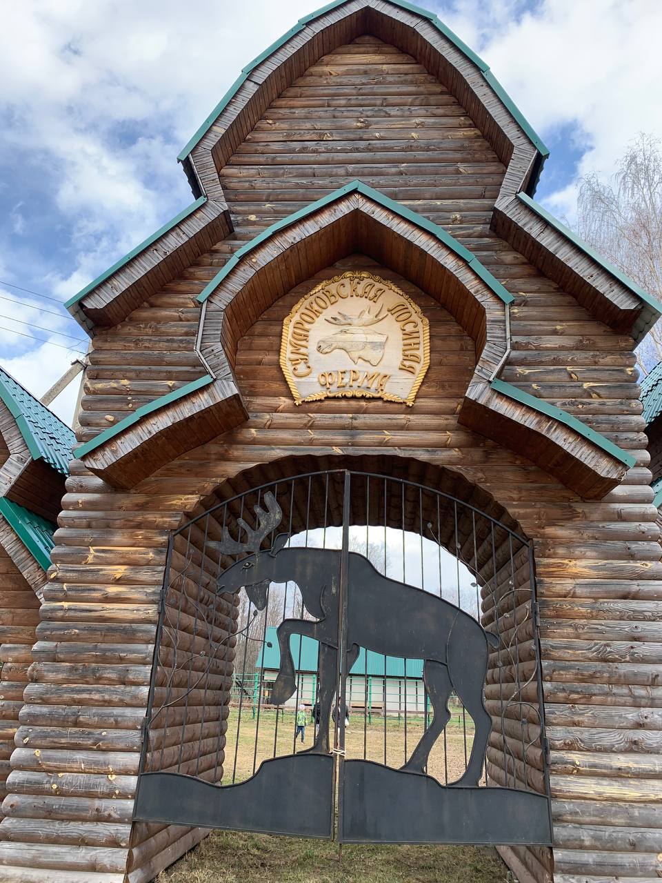 ������ ��������