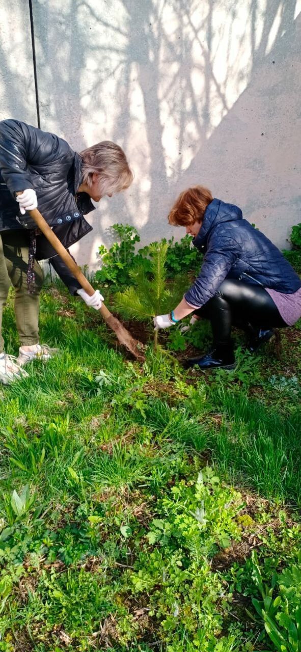 ���������� ���������