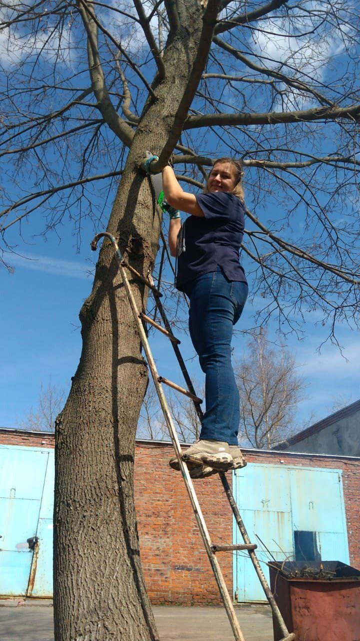 ���������� ���������