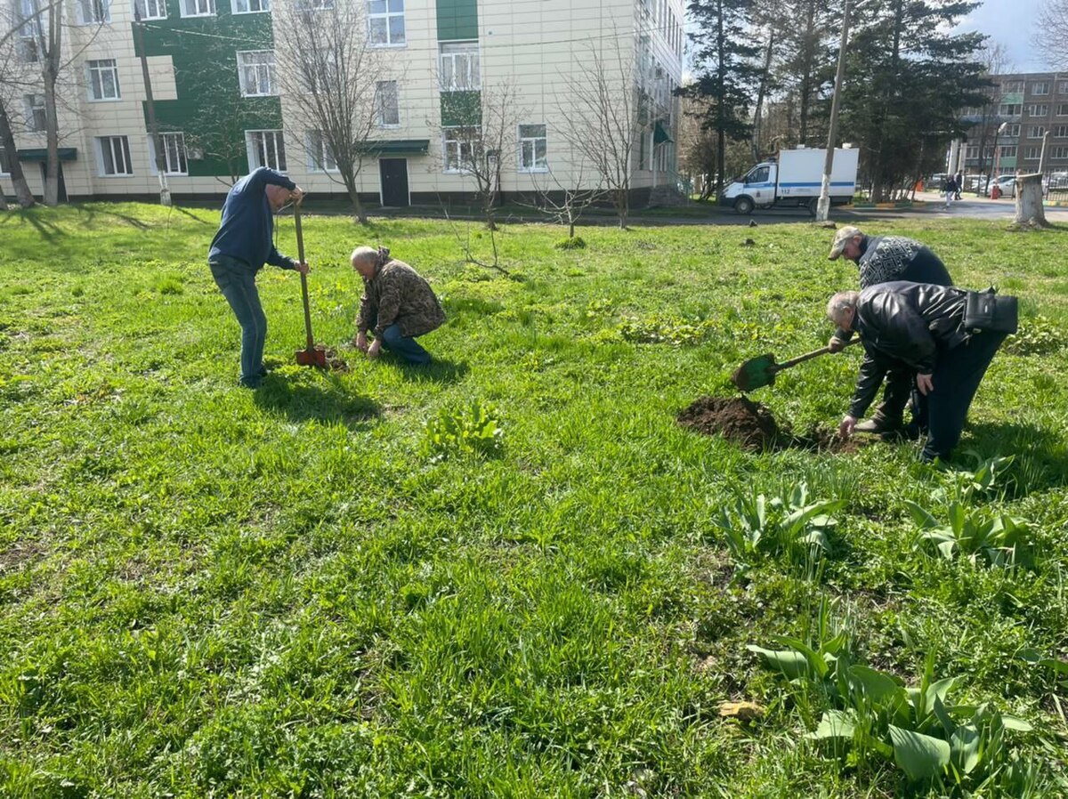 ���������� ���������