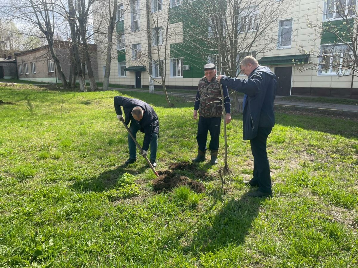 ���������� ���������