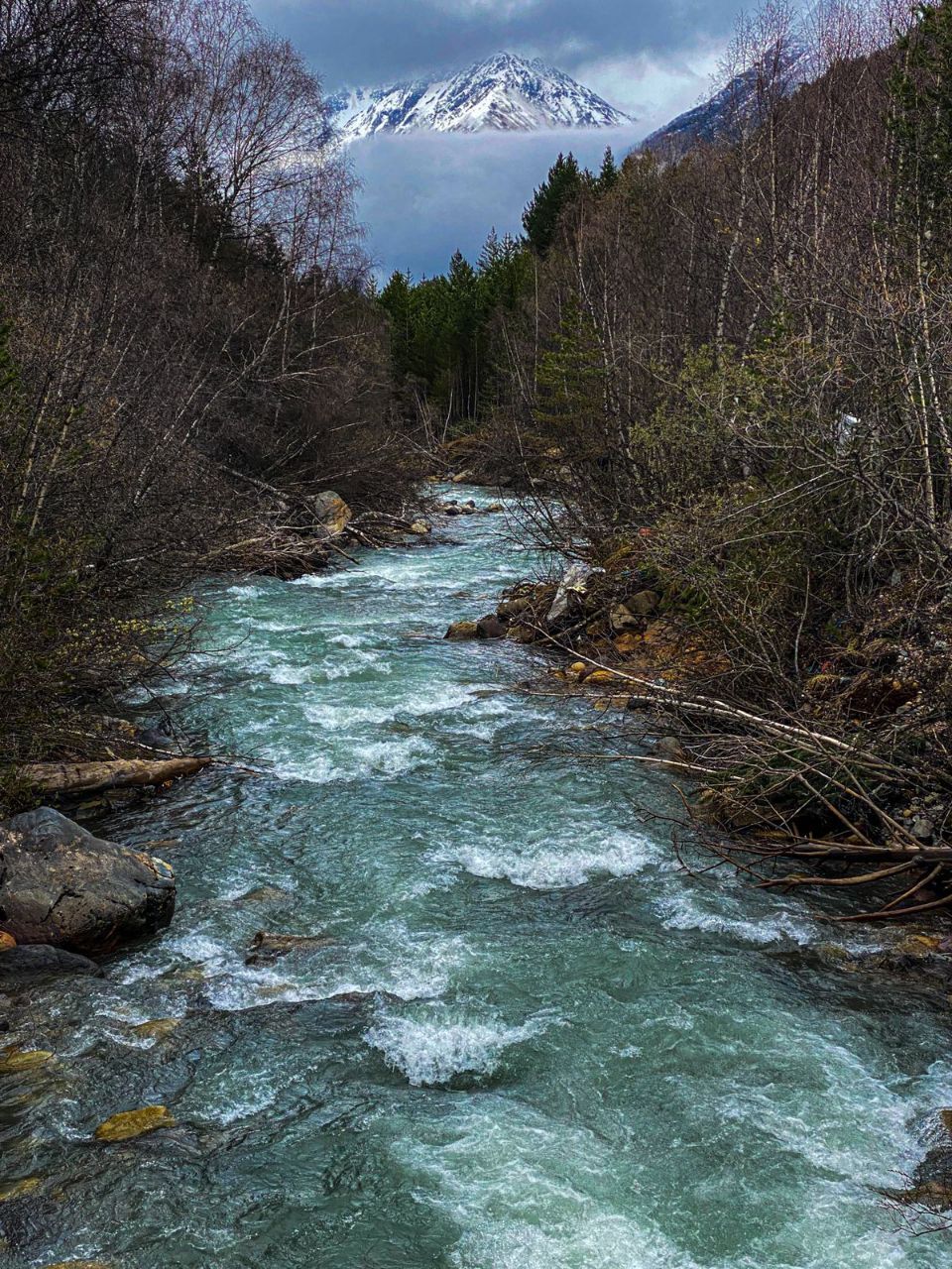 �������� ���������-��������