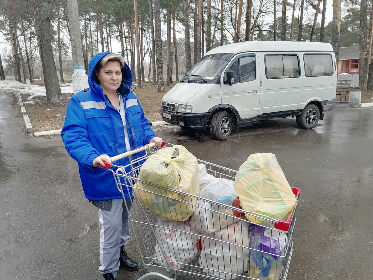 ��� ������ ������