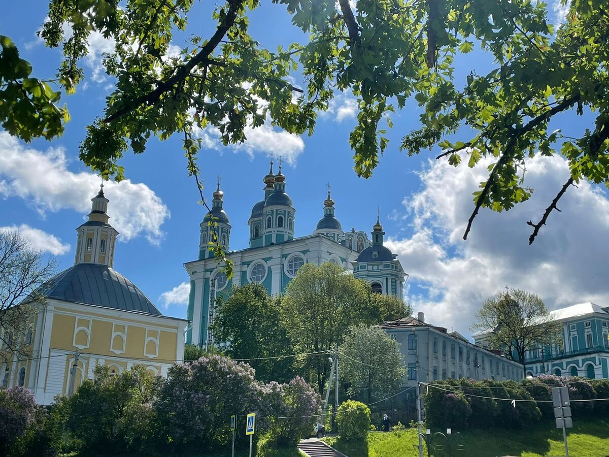 �������������